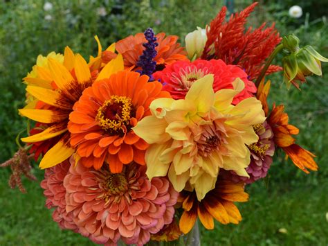 Late Summer Bouquet Sept 9 2016 Seasonalfloweralliance Grownnotflown