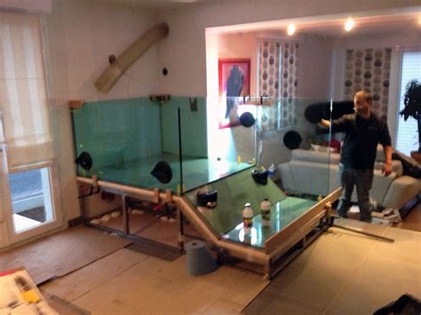 Mais je suis devenu fana de crevettes d'aquarium, telles les neocaridina heteropoda , maintenant appelées neocaridina davidi. Faire son aquarium sur mesure - Tableau isolant thermique