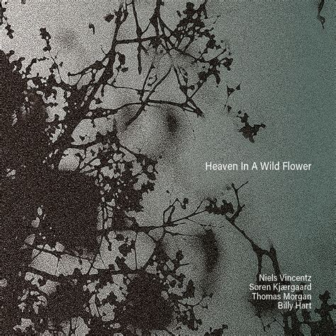 Heaven In A Wildflower Ilk Music