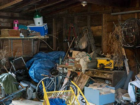 Efficient Shed Clearance Service In London Fantastic Services