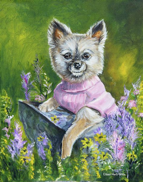 Poppy The Pomeranian Painting By Eileen Herb Witte Pixels