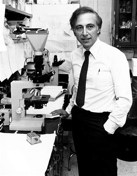 Dr Robert Gallo Photograph By National Cancer Institute