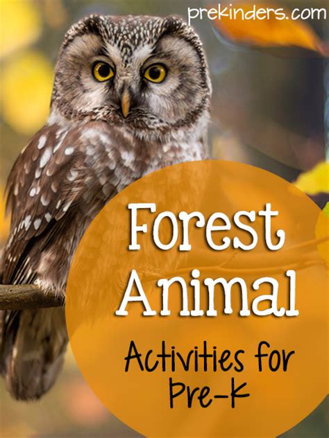 Forest Theme Activities For Pre K And Preschool Kids