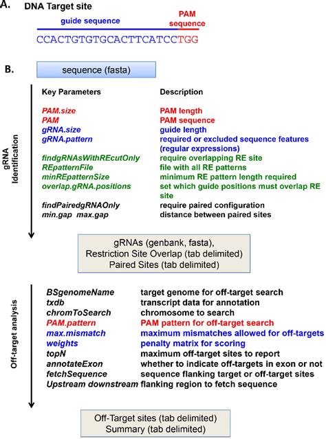 Figure 1 From Escholarshipumms Program In Gene Function And Expression