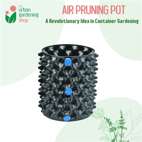 Air Pruning Pot 1 Set A Revolutionary Idea In Container Gardening