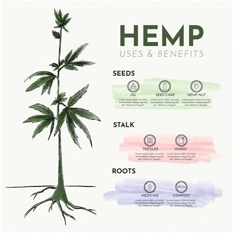 free vector uses of hemp infographic