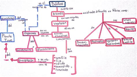 Mapa Conceptual De Biologia Mind Map Images Porn Sex Picture My Xxx