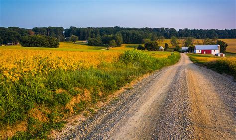 Farm Along A Dirt Road In Rural York County Pennsylvania