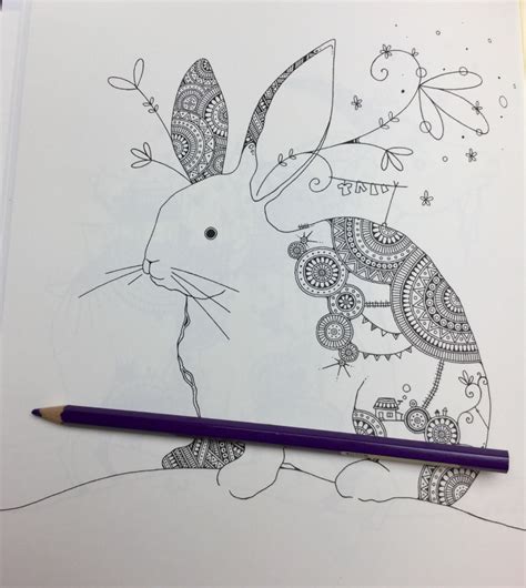 Fantastic Zoo Coloring Book Review - Coloring Queen