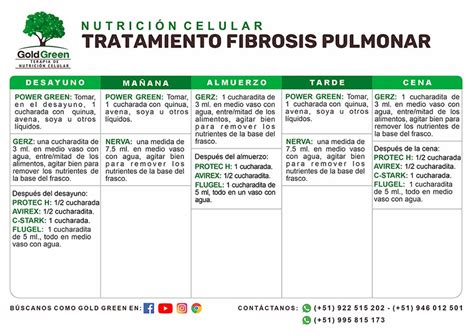Fibrosis Pulmonar Tratamiento Lima Gold Green Tratamientos