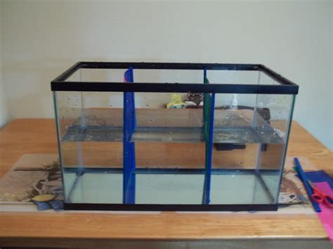 This do it yourself aquarium divider is made from mesh, binding bars and a few drops of silicone. Voice 4 Bettas: DIY Aquarium Dividers