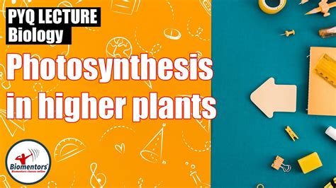 Photosynthesis In Higher Plants Revision Through Pyq Series L