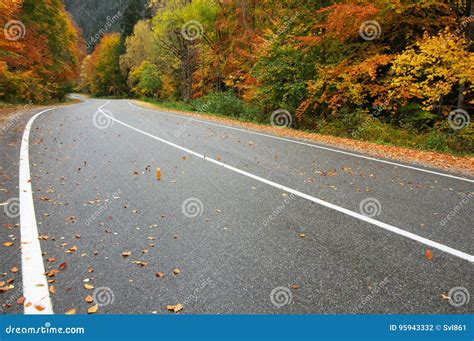 Autumn Road Stock Photo Image Of Adventure Roadway 95943332