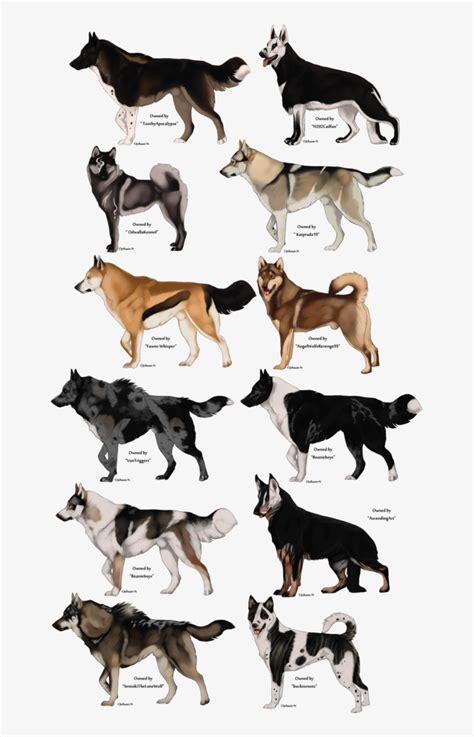 Check spelling or type a new query. Love It Pinterest Wolf And Drawings - Anime Wolf Character ...