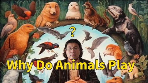 Why Do Animals Play Youtube