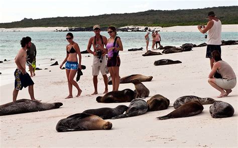 The Best Beaches In The Galapagos Galapagos Islands Blog