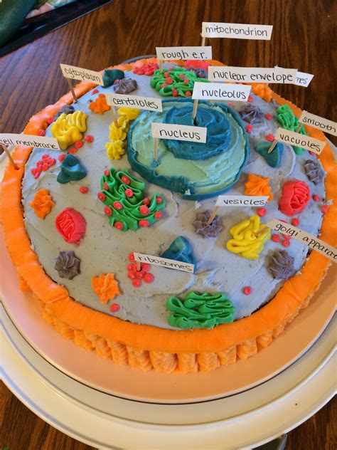 How To Make Edible Animal Cell Cookie Cake Pin On School