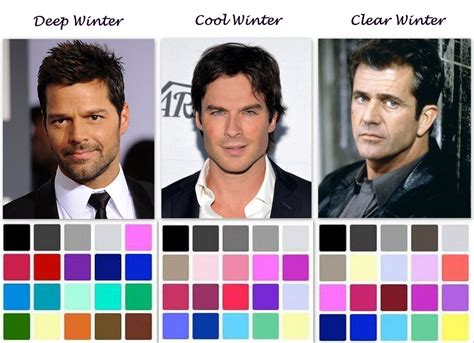 Winter Men Deep Cool Clear The Style Factory Color Type