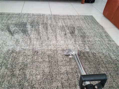 While sanitizing, a wet mist of disinfection solution is sprayed in a room. Who Who Carpet Cleaning and Pest Management Review Ratings ...