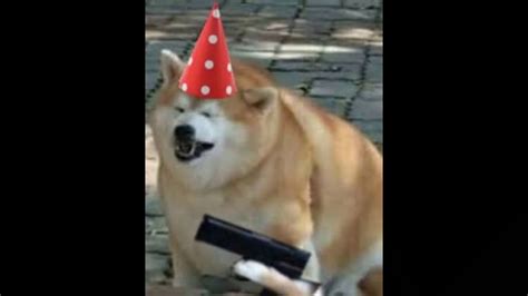 Happy Birthday Comrade Doggo Early Youtube