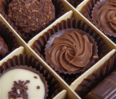 10 Human Foods That Are Dangerous for Dogs and Cats