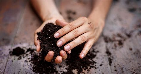 Eating Dirt Why People Do It Dangers And Purported Benefits