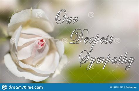 Our Deepest Sympathy Card Designed For Someone Mourning The Death Of