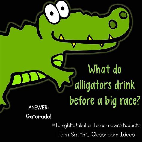 Tonights Joke For Tomorrows Students What Do Alligators Drink Before