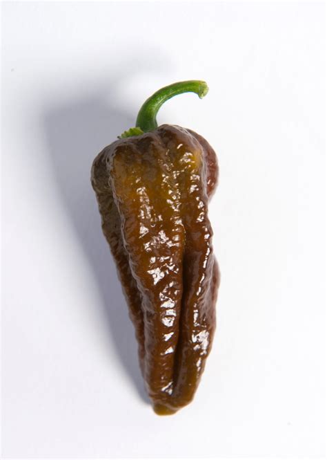 Hottest Chillies In The World The Scoville Scale In Pictures Life