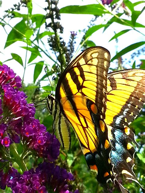 Maybe you would like to learn more about one of these? Pest Control & Other Considerations for Spring Planting ...