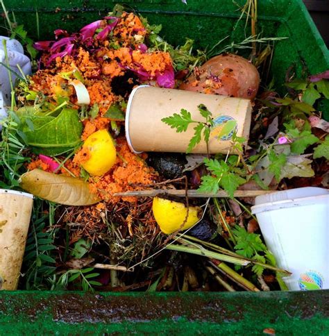 To become extremely angry or excited: What Can & Cannot Be Composted in NYC | Compost, Vegetable ...