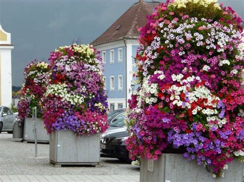 In neuhaus am inn hat lidl auch für diese woche neue rabatte parat. Neuhaus am Inn, Bavaria, Germany | Plants, Lovely, Bavaria