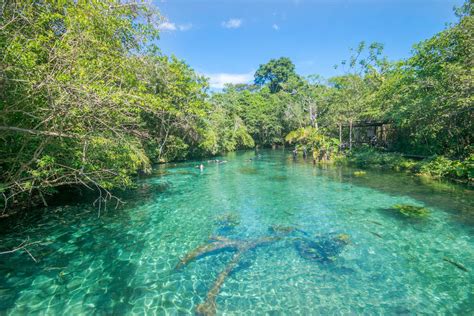 mato grosso do sul ecoturismo de bonito ao pantanal tudoviagem