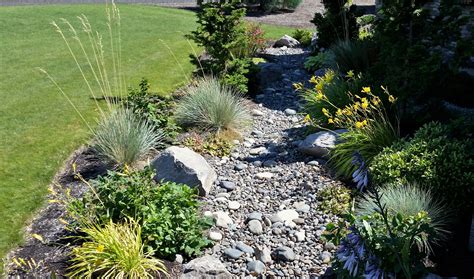 Solve Drainage Issues With Dry Creek Beds