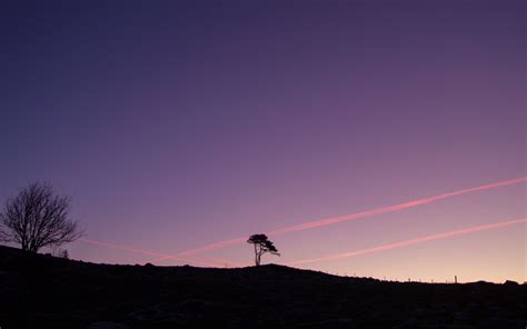Download Wallpaper 3840x2400 Tree Silhouette Twilight Landscape