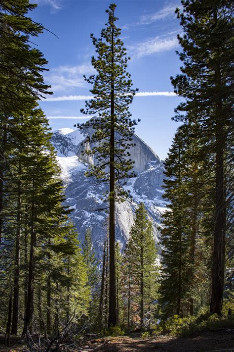 This is a fairly modest trip report, but it has some good information on the snow creek trailhead for the pacific crest trail (pct), and it should give you a fairly good feel for the terrain and surroundings. Snow Creek Trail, Yosemite National Park OC [2153x3230 ...