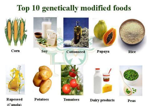 There are four main ways in which scientists can. Factsram.blogspot: Top 10 genetically modified foods