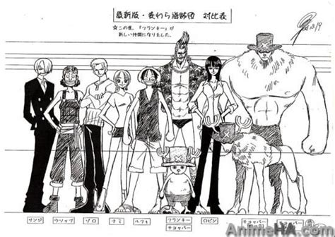 One Piece Heights Character Sheets Settei Straw Hats Sanji Usopp