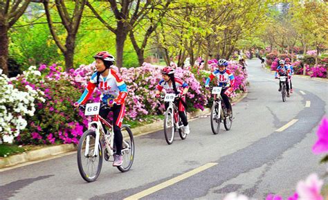 Chengdu Biking Tour Best Greenways For Cycling In Chengdu