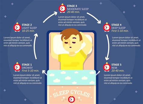 what are the stages of the sleep cycle nite 1g