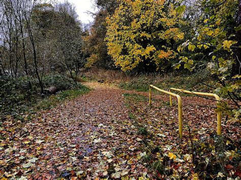 Fallen Leaves Cranny © Kenneth Allen Geograph Britain And Ireland