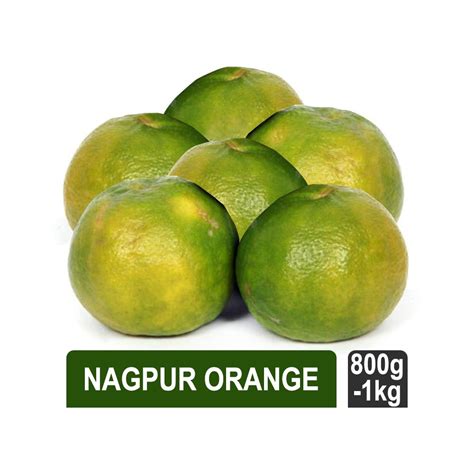 Nagpur Orange Price Buy Online At Best Price In India