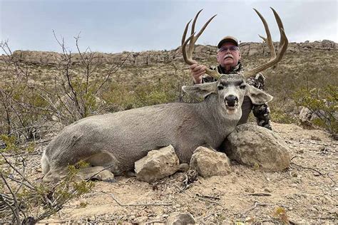 Coyote Hunting Texas The Ultimate Guide To Bagging Big Game Gear