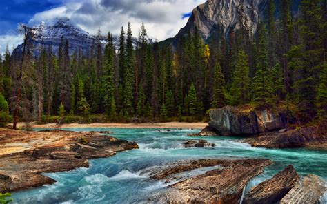 Download Wallpapers Yoho Valley 4k Mountain River Forest Yoho