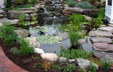 Mountain Lake Koi Pond Design With Plants Home Design Examples In