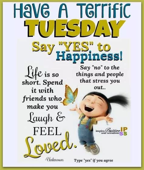 Terrific Tuesday Say Yes To Happiness Pictures Photos And Images For
