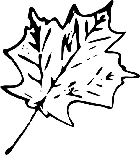 Leaf clipart black and white, Leaf black and white Transparent FREE for