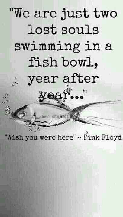 Enjoy the top 22 famous quotes, sayings and quotations by pink floyd. 12 best images about Pink Floyd party on Pinterest | Pink floyd lyrics, Birthday cakes and Sexy ...