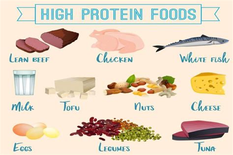 Different Types Different Protein Types Gambaran