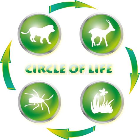 Circle Of Life Stock Illustration Illustration Of Recycling 23936511